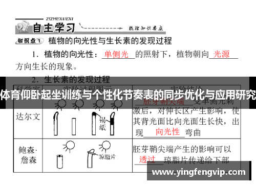 体育仰卧起坐训练与个性化节奏表的同步优化与应用研究